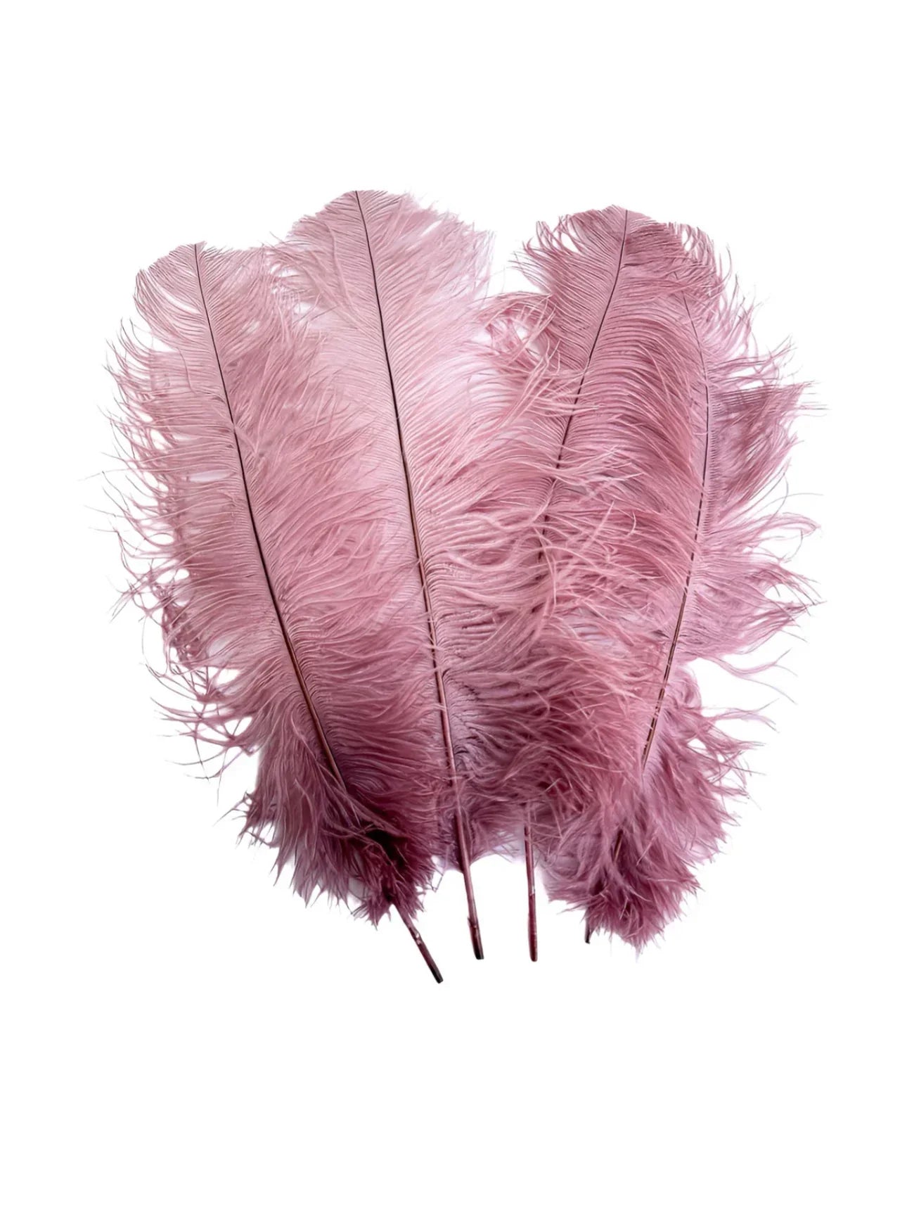 Ostrich Feather Tail Plumes 9-12" (Dusty Rose) - www.BuyOstrichFeathers.com