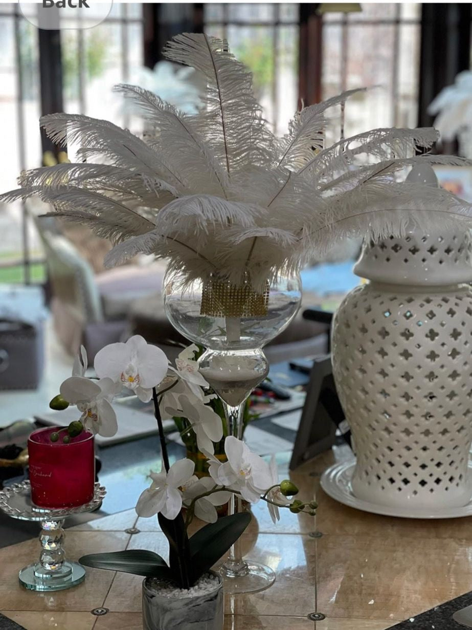 Natural White Ostrich Feathers 100 pcs. 13-17 inch Bulk Ostrich Feathers - www.BuyOstrichFeathers.com