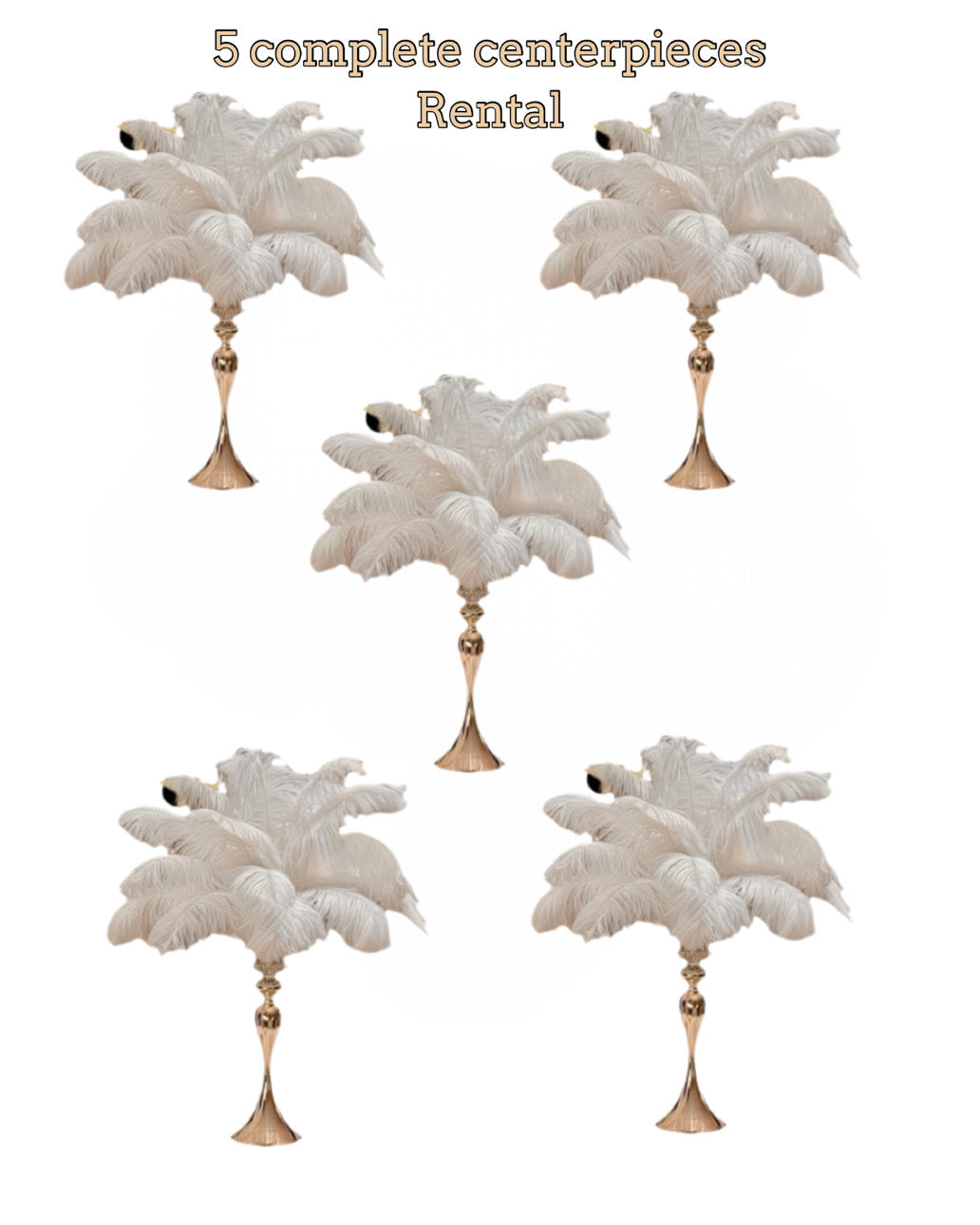 Centerpiece Rentals - Five Complete Ostrich Feather Centerpieces - www.BuyOstrichFeathers.com