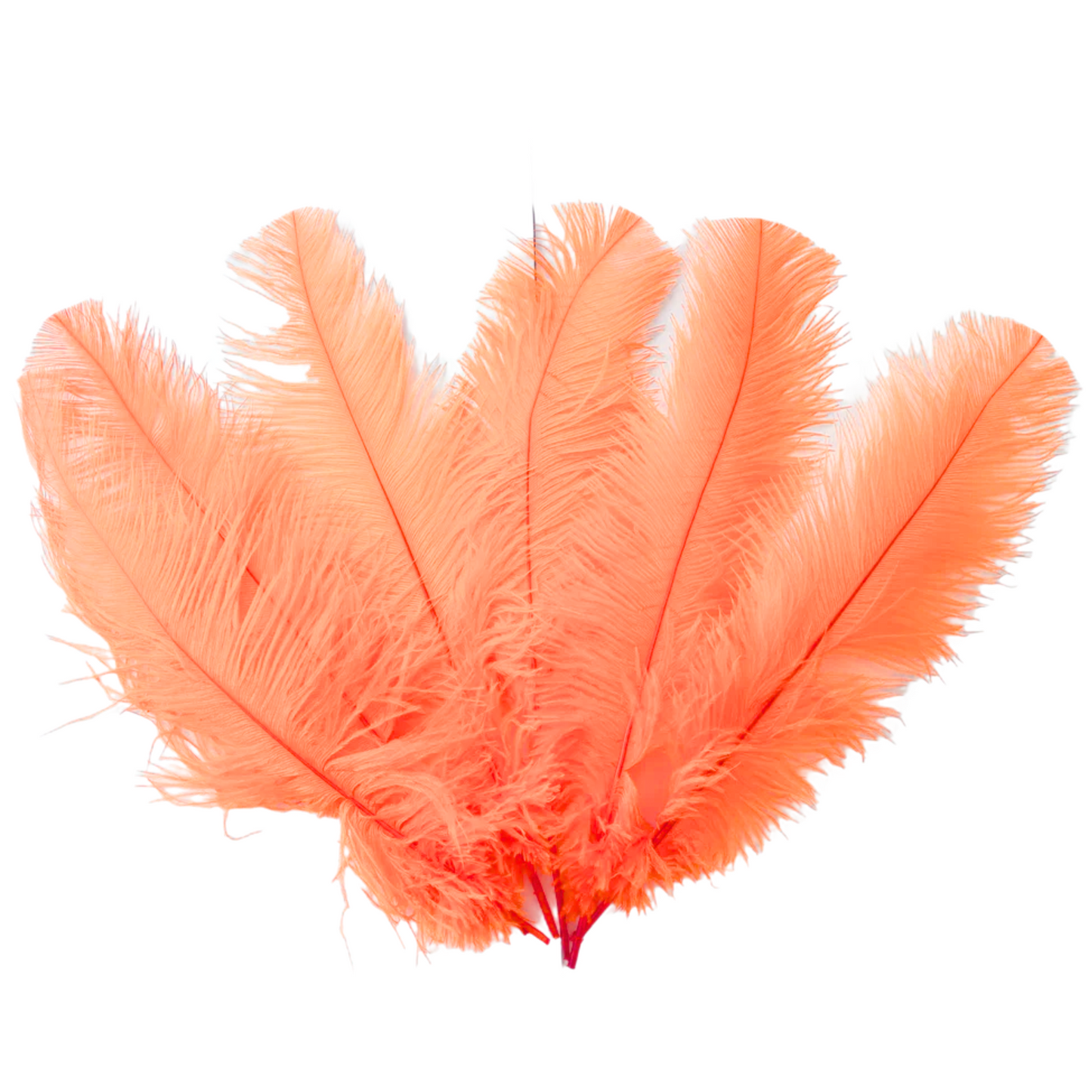 Ostrich Flexible Feathers 9-12" (Apricot) - www.BuyOstrichFeathers.com
