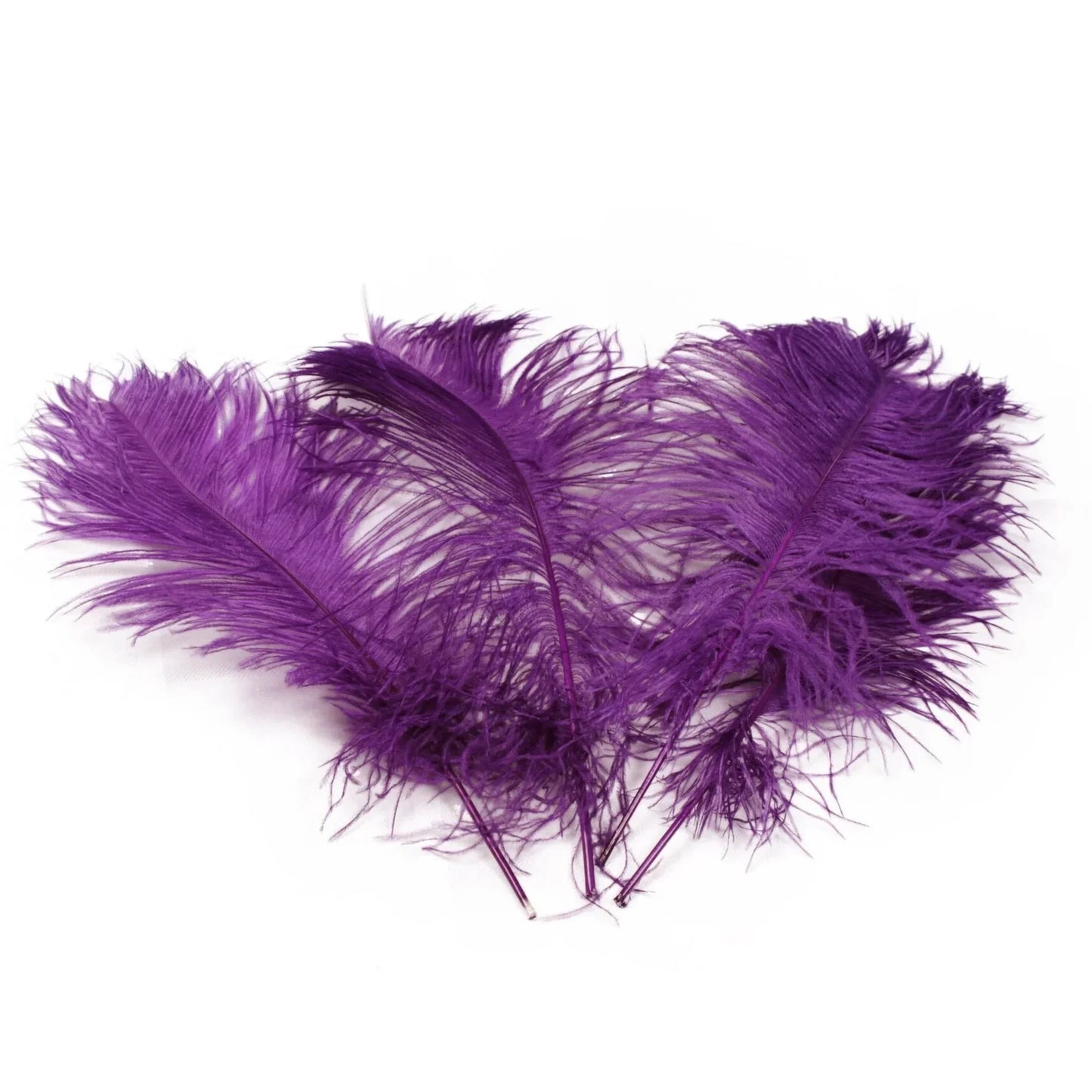 Ostrich Feather Tail Plumes 15-18" (Plum) - www.BuyOstrichFeathers.com
