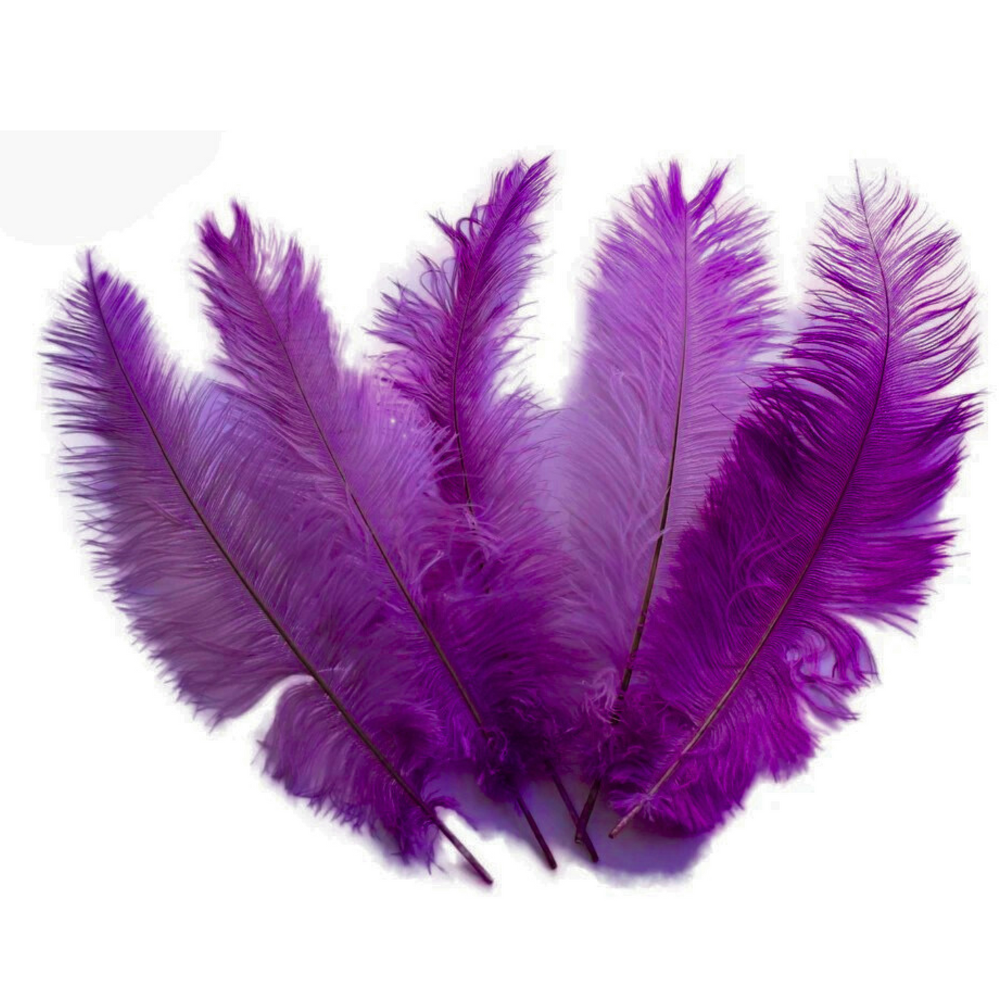 BULK 1/4lb Ostrich Feather Spad Plumes 12-16" (Plum) - www.BuyOstrichFeathers.com