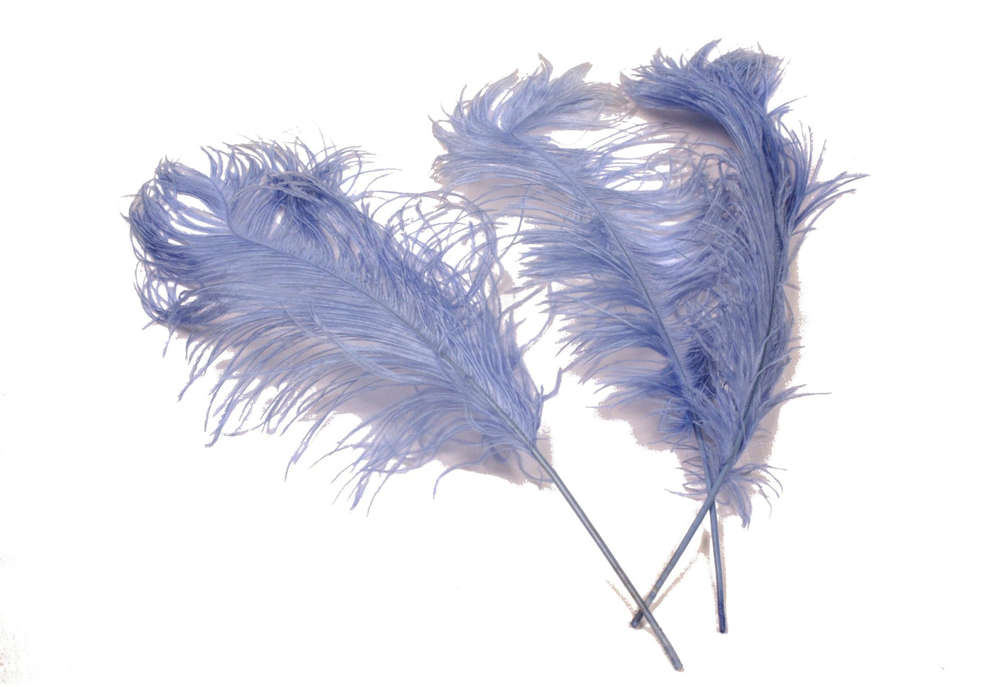 Complete Feather Centerpiece With 16" Vase (Baby Blue) - Buy Ostrich Feathers