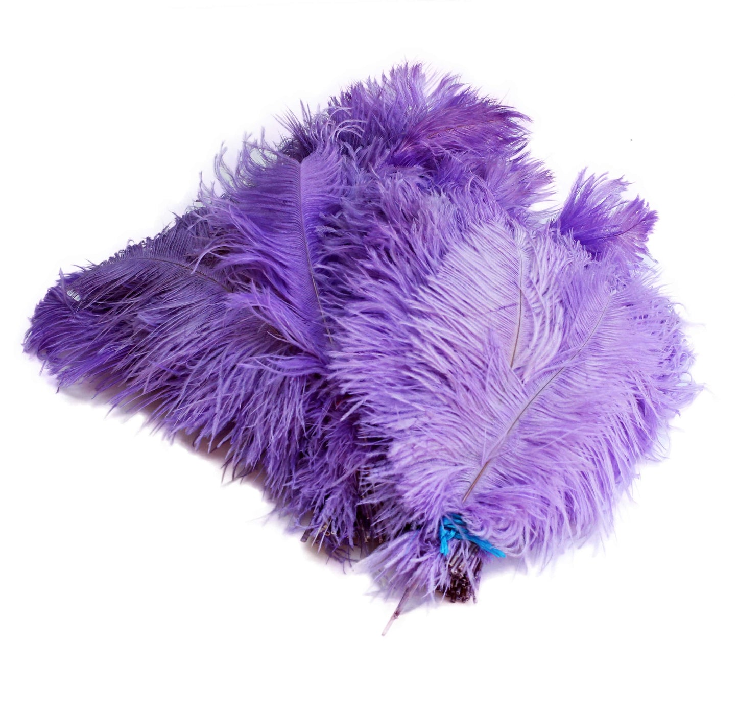 BULK 1/2lb Ostrich Feather Tail Plumes 15-20" (Lavender) - Buy Ostrich Feathers