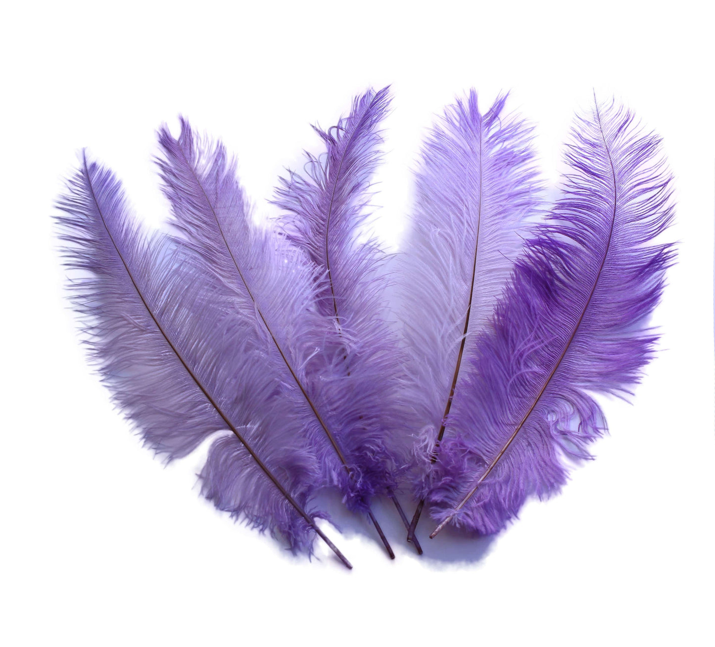 BULK 1/4lb Ostrich Feather Spad Plumes 12-16" (Lavender) - Buy Ostrich Feathers