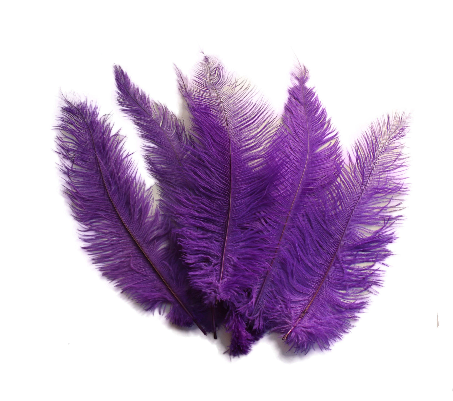 BULK 1/4lb Ostrich Feather Spad Plumes 12-16" (Purple) - Buy Ostrich Feathers