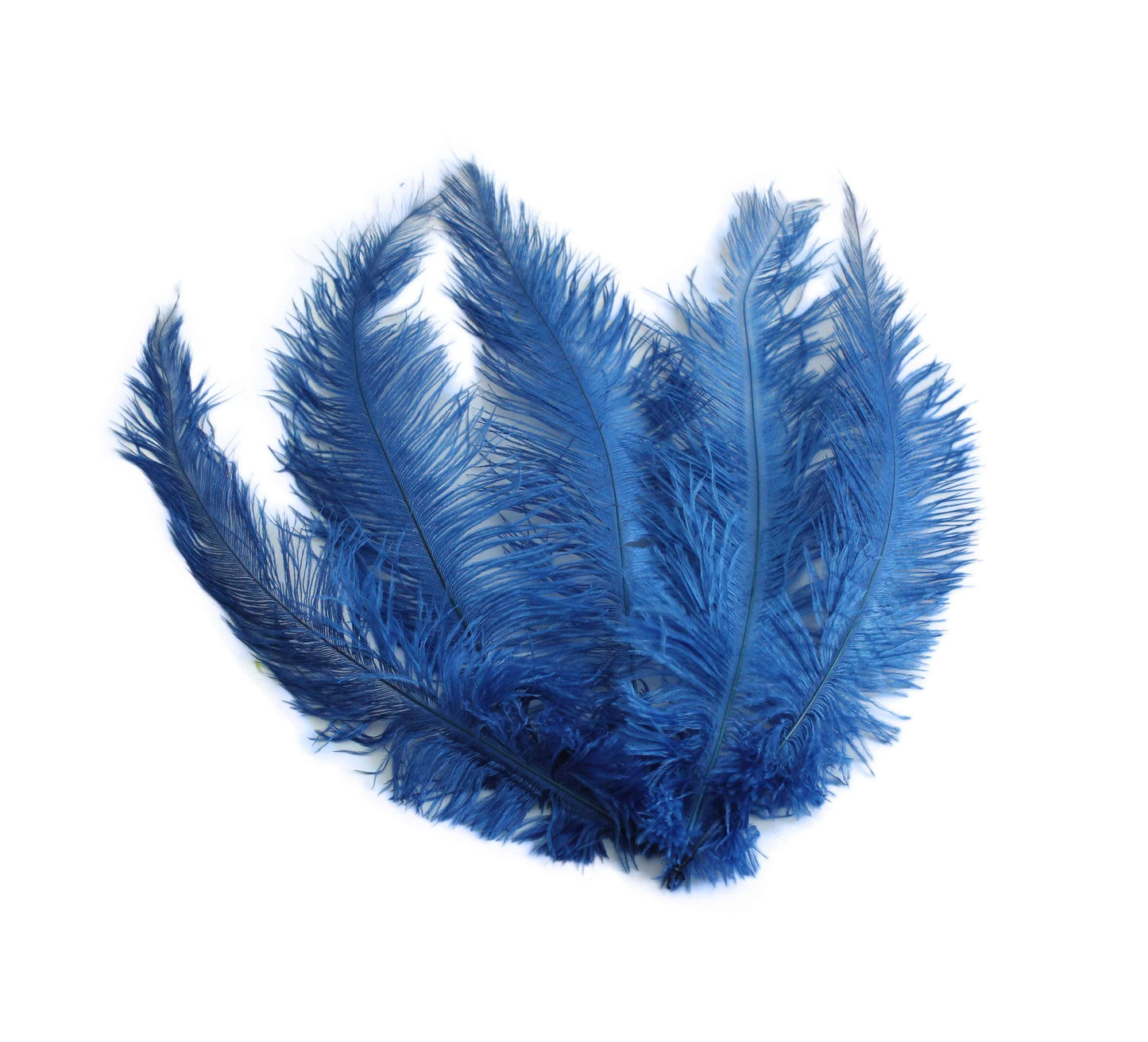 BULK 1/4lb Ostrich Feather Spad Plumes 12-16" (Royal Blue) - Buy Ostrich Feathers