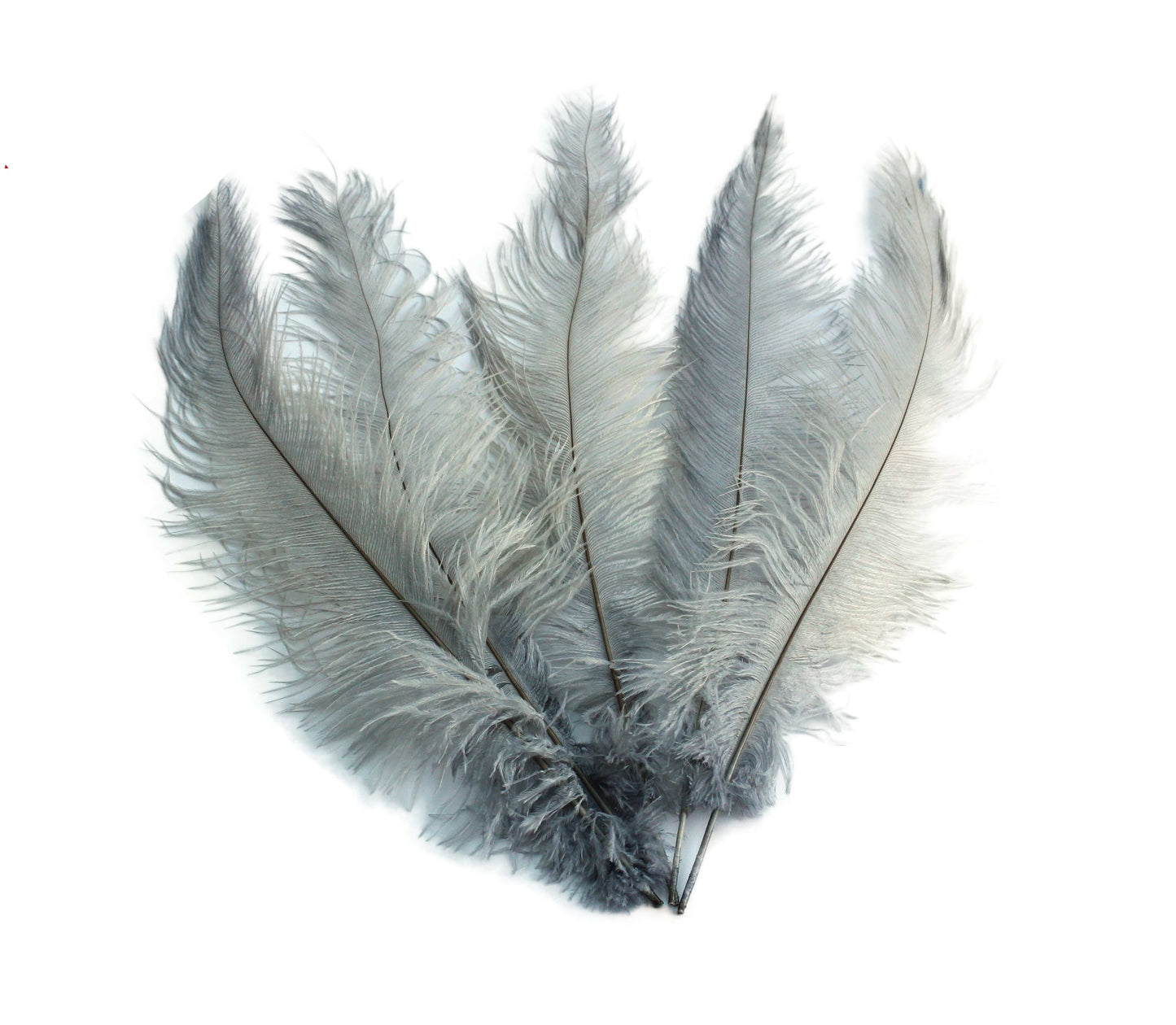 BULK 1/4lb Ostrich Feather Spad Plumes 12-16" (Silver/Grey) - Buy Ostrich Feathers