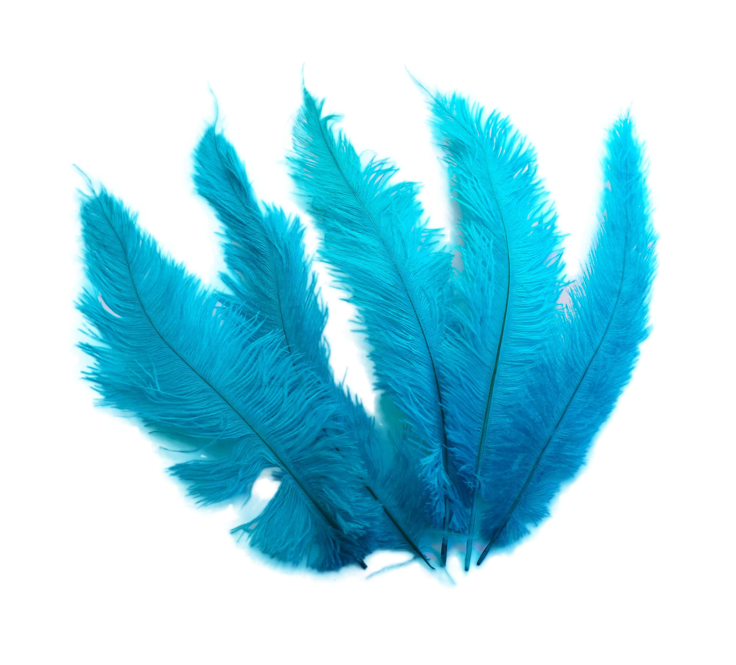BULK 1/4lb Ostrich Feather Spad Plumes 12-16" (Turquoise) - Buy Ostrich Feathers