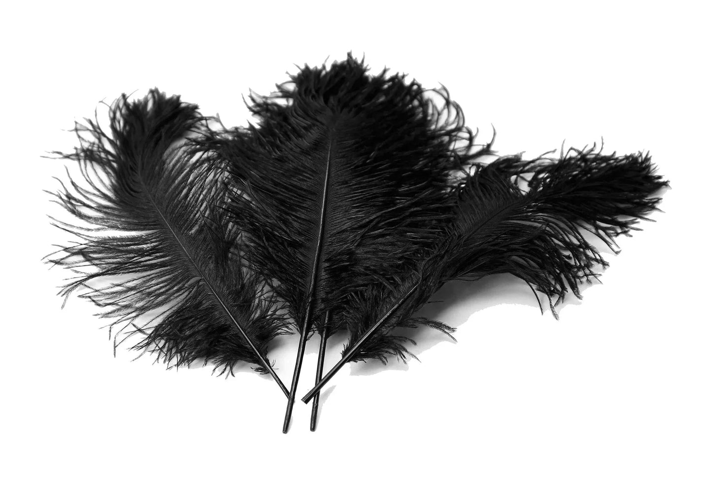 Ostrich Feather Tail Plumes 17-20" (Black) - www.BuyOstrichFeathers.com