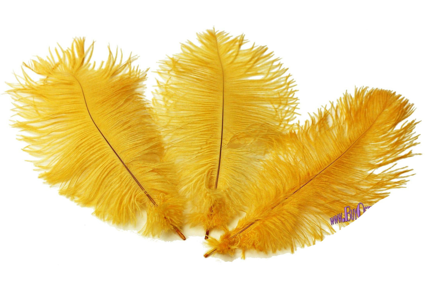 Ostrich Feather Tail Plumes 11-14" (Golden Yellow) - Buy Ostrich Feathers
