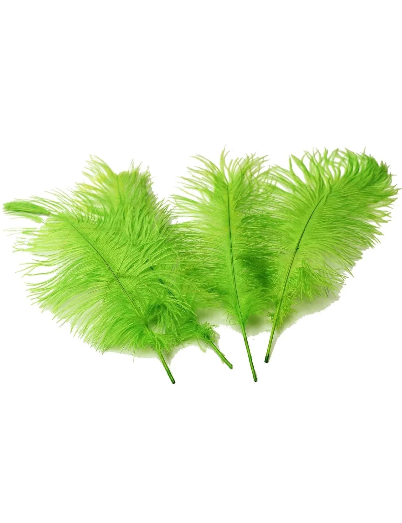 Ostrich Feather Tail Plumes 17-20" (Lime Green) - www.BuyOstrichFeathers.com