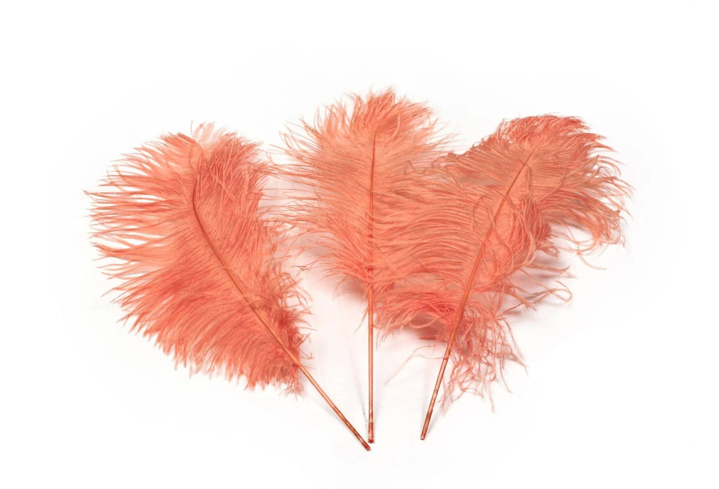 Ostrich Feather Tail Plumes 17-20" (Apricot) - www.BuyOstrichFeathers.com