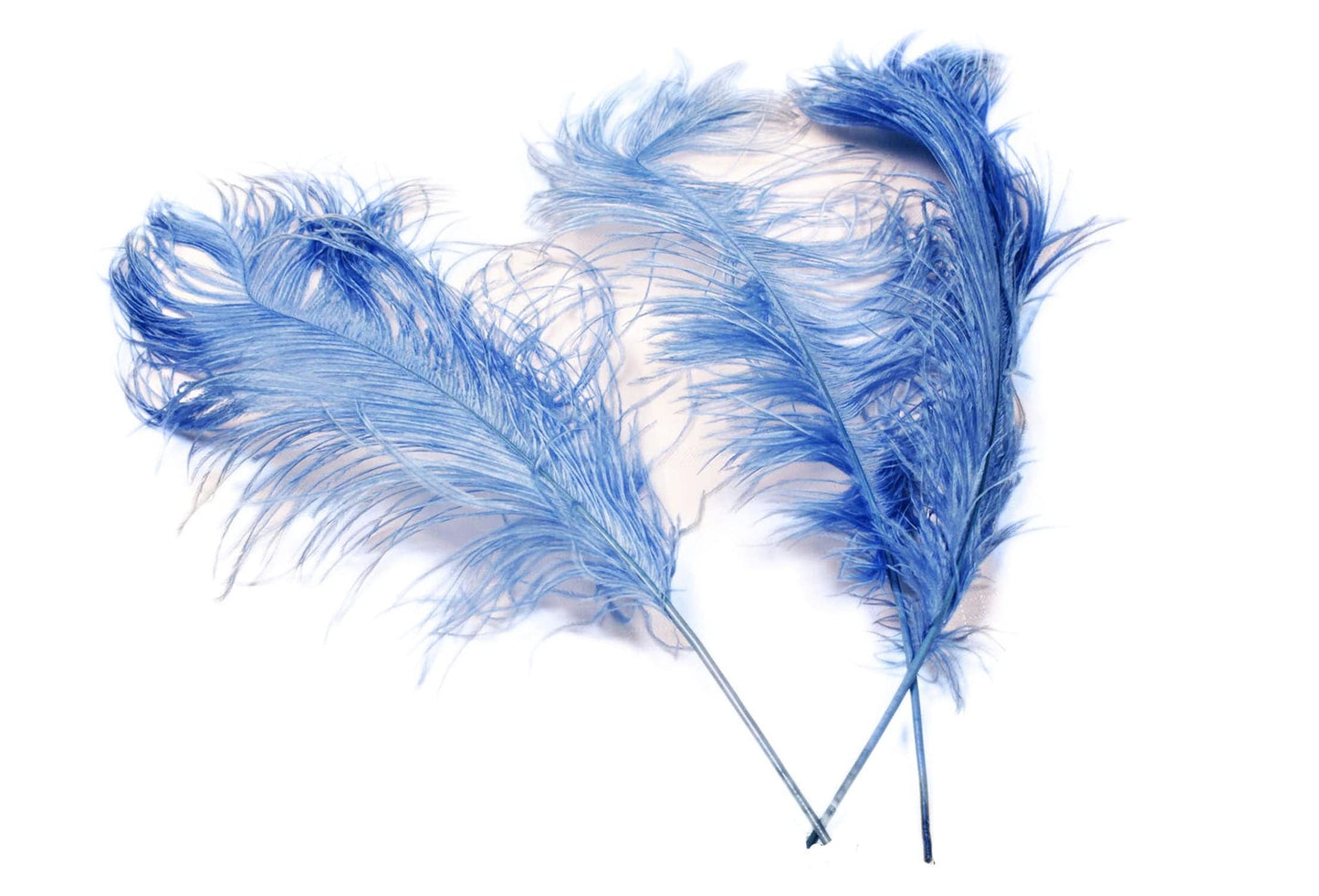 Ostrich Feather Tail Plumes 9-12" (Baby Blue) - Buy Ostrich Feathers