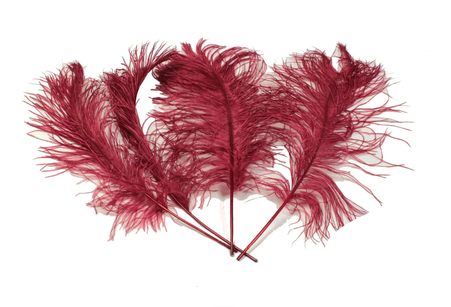 Ostrich Feather Tail Plumes 15-18" (Burgundy) - www.BuyOstrichFeathers.com
