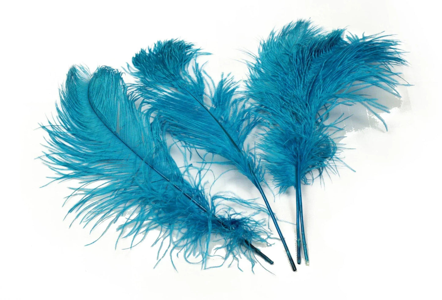 Ostrich Feather Tail Plumes 15-18" (Turquoise) - www.BuyOstrichFeathers.com
