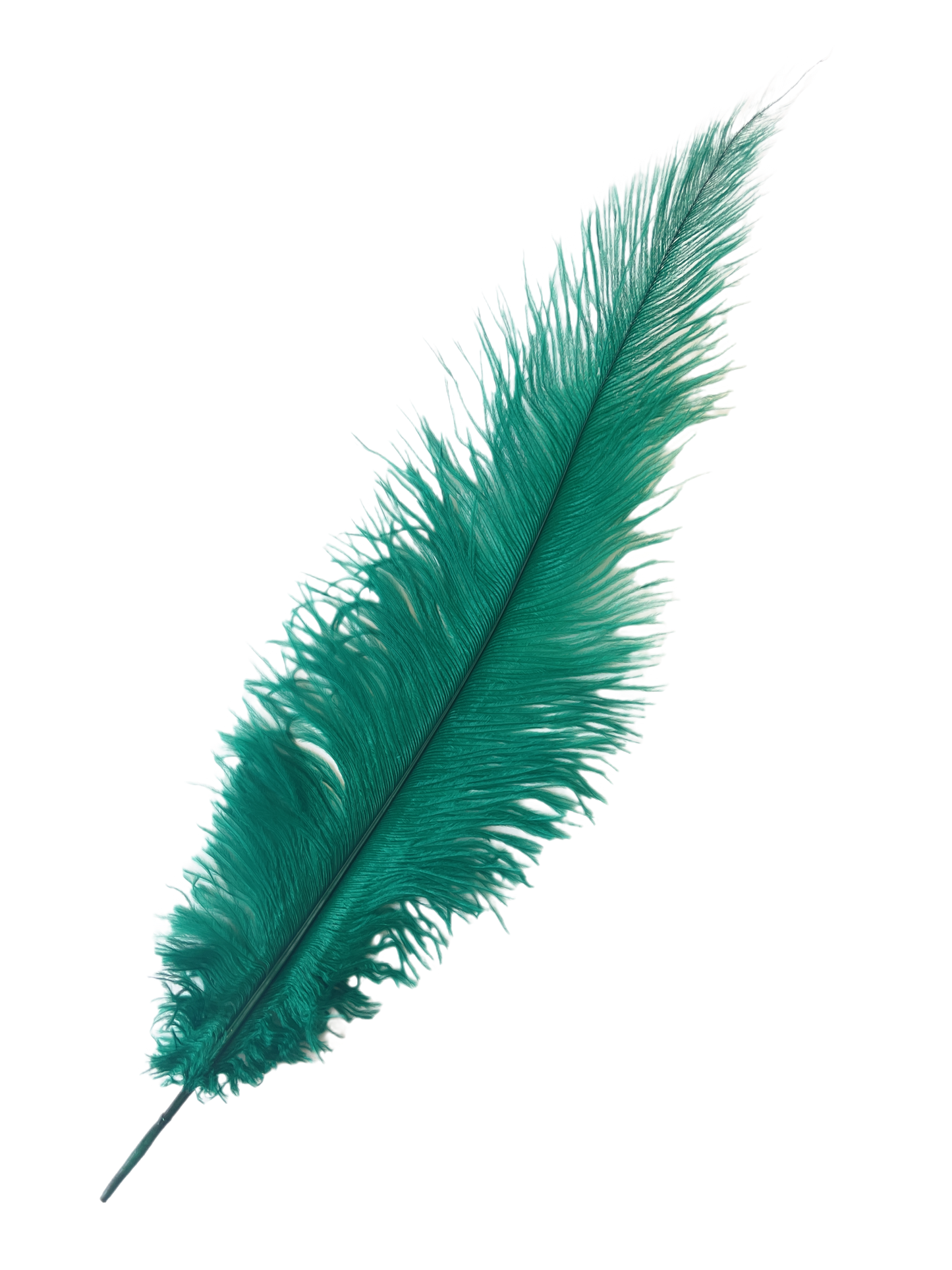 Ostrich Feather Spad Plumes 12-15" (Emerald Green) - Buy Ostrich Feathers