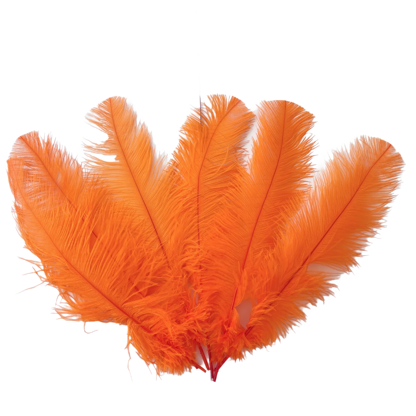 Ostrich Feather Spad Plumes 13-16" (Orange) - www.BuyOstrichFeathers.com