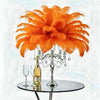 Ostrich Flexible Feathers 13-16" (Orange) - www.BuyOstrichFeathers.com