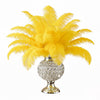 Ostrich Feather Rental 16-20" (Yellow) - 250pcs - www.BuyOstrichFeathers.com