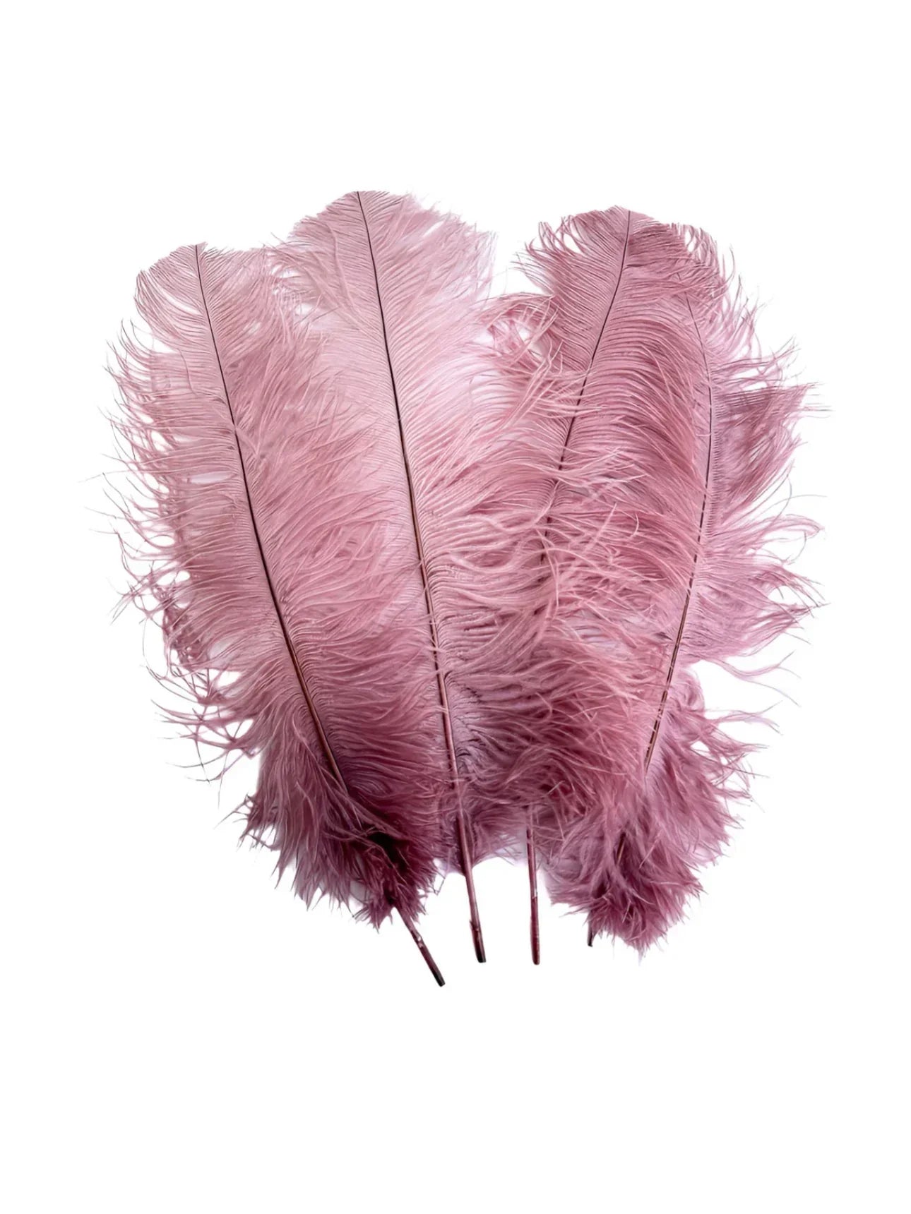 Ostrich Feather Tail Plumes 15-18" (Dusty Rose) - www.BuyOstrichFeathers.com