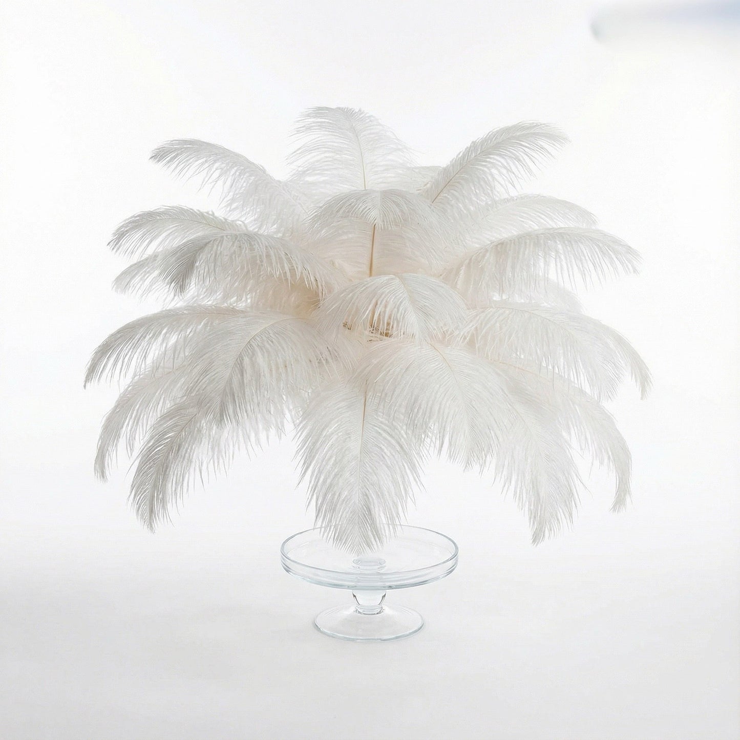 Ostrich Feather Tail Plumes 9-12" (White)