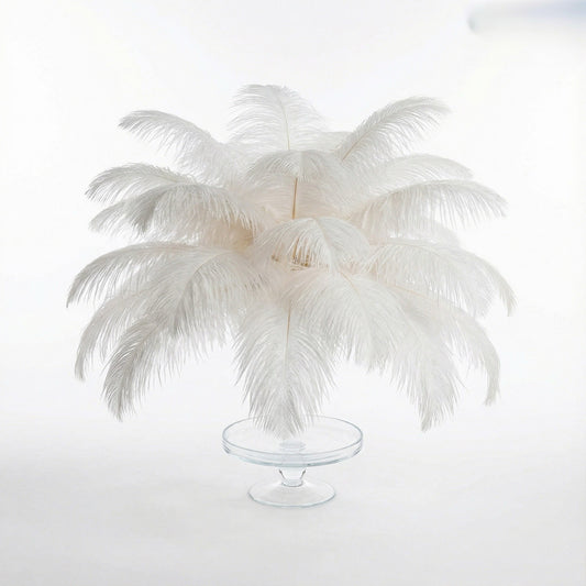 Ostrich Feather Tail Plumes 9-12" (White)