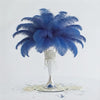 Ostrich Flexible Feathers 9-12" (Royal Blue) - www.BuyOstrichFeathers.com