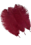 Burgundy Ostrich Feathers