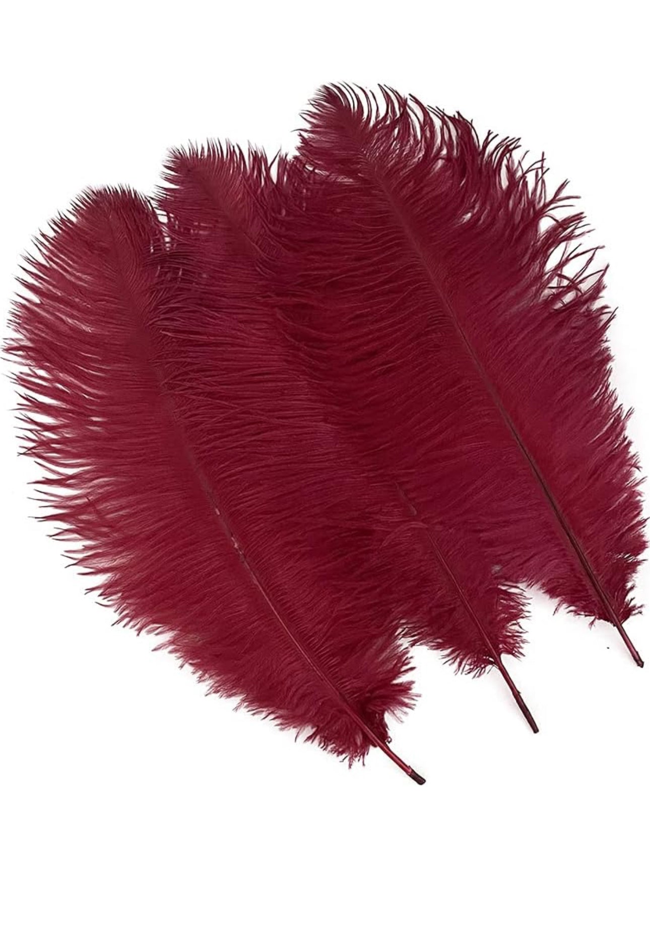 Burgundy Ostrich Feathers