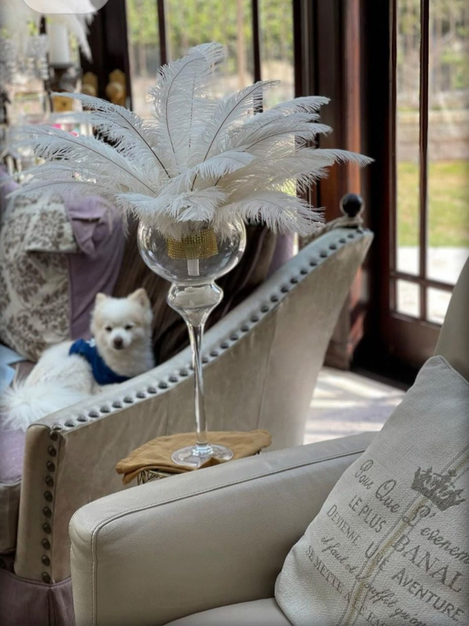 Natural White Ostrich Feathers 100 pcs. 13-17 inch Bulk Ostrich Feathers - www.BuyOstrichFeathers.com