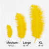 Ostrich Flexible Feathers 11-14" (Yellow) - www.BuyOstrichFeathers.com