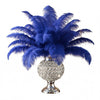 Ostrich Flexible Feathers 11-14" (Royal Blue) - www.BuyOstrichFeathers.com
