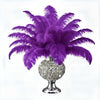Ostrich Flexible Feathers 11-14" (Purple) - www.BuyOstrichFeathers.com