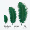 Ostrich Flexible Feathers 11-14" (Emerald Green) - www.BuyOstrichFeathers.com