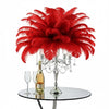 Ostrich Feather Spad Plumes 15-18" (Red) - www.BuyOstrichFeathers.com