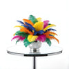Small Ostrich Feather Plumes 7-10" (Pack Of 50) - www.BuyOstrichFeathers.com