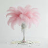 Ostrich Flexible Feathers 9-12" (Baby Pink) - www.BuyOstrichFeathers.com