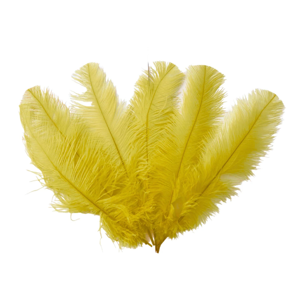 Ostrich Flexible Feathers 9-12" (Yellow) - www.BuyOstrichFeathers.com