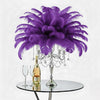 Ostrich Feather Spad Plumes 15-18" (Purple) - www.BuyOstrichFeathers.com