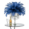 Ostrich Flexible Feathers 13-16" (Royal Blue) - www.BuyOstrichFeathers.com
