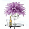 Ostrich Flexible Feathers 13-16" (Lavender) - www.BuyOstrichFeathers.com