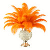Ostrich Feather Rental 16-20" (Orange) - 250pcs - www.BuyOstrichFeathers.com