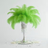 Ostrich Flexible Feathers 9-12" (Lime Green) - www.BuyOstrichFeathers.com