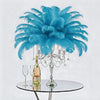 Ostrich Feather Spad Plumes 15-18" (Turquoise) - www.BuyOstrichFeathers.com