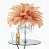 Ostrich Flexible Feathers 13-16" (Apricot) - www.BuyOstrichFeathers.com