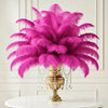 Ostrich Feather Rental 16-20" (Fuchsia) - 250pcs - www.BuyOstrichFeathers.com