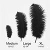 Ostrich Feather Rental 16-20" (Black) - 250pcs - www.BuyOstrichFeathers.com