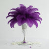Ostrich Flexible Feathers 9-12" (Purple) - www.BuyOstrichFeathers.com