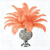 BULK 1/2lb Ostrich Feather Tail Plumes 15-20" (Apricot) - www.BuyOstrichFeathers.com